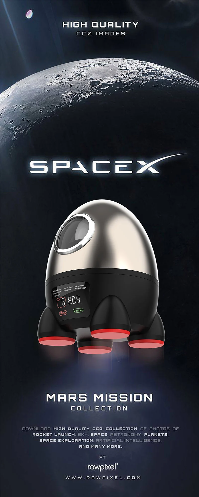 10-Egg Electric Steamer
