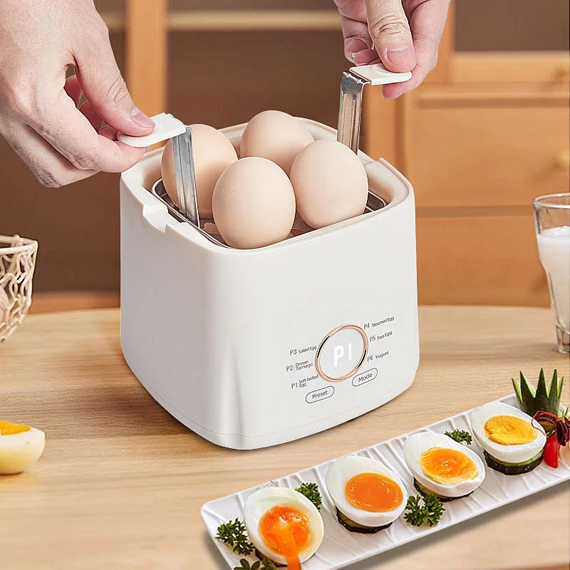 304 Stainless Steel Egg Cooker